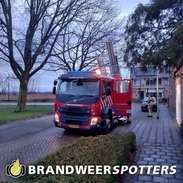 Dier op hoogte Lijsterbesstraat in Raamsdonksveer