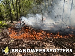 Bosbrand (middel brand) Kalbergseweg in Oosterhout