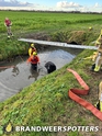 Dier te water Hoge Zeedijk in Zevenbergschen Hoek