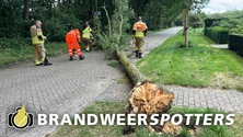 Stormschade Oude Tilburgsebaan in Dorst