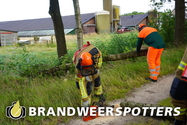 Stormschade Oude Spoorbaan in Goirle