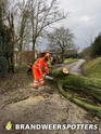 Stormschade Boshoven in Alphen